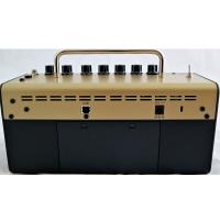 Yamaha THR-5A Amplificatore per chitarra acustica_2