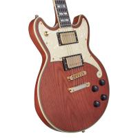 D'Angelico Deluxe Brighton LTD Matte Walnut Chitarra Elettrica ULTIMO PEZZO_4