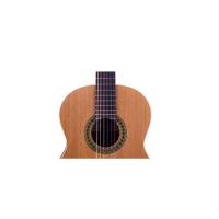 José Torres JTC-5S Chitarra Classica_2