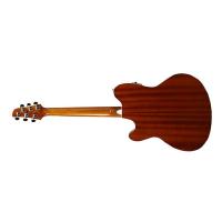 Richwood RA-12-CE Chitarra acustica auditorium elettrificata