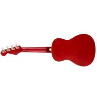 Fender Avalon Tenor Ukulele WN Cherry Ukulele Tenore NUOVO ARRIVO_2