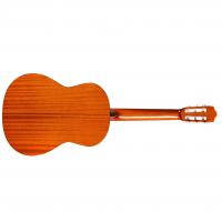 Cordoba C5 Cedro Chitarra Classica NUOVO ARRIVO_2