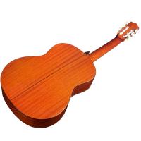 Cordoba C5 Cedro Chitarra Classica NUOVO ARRIVO_4