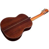 Cordoba C7 Cedro Chitarra Classica NUOVO ARRIVO_5