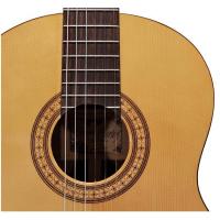 Salvador Cortez CS-50 Chitarra Classica 4/4_3