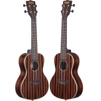 Kala KA-EBY-C Striped Ebony Uku Concert Ukulele Concerto con Borsa_3