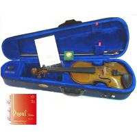 Violino Stentor student I 4/4 - VL1100