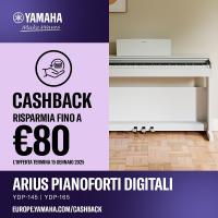 Yamaha YDP145R Rosewood Palissandro Arius + Cuffie Yamaha HPH50 Pianoforte digitale NUOVO ARRIVO_3