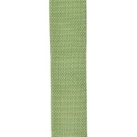 D'Addario PWS107 Polypro Guitar Strap Green Tracolla_3