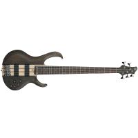 Ibanez BTB605 TGF Basso Elettrico